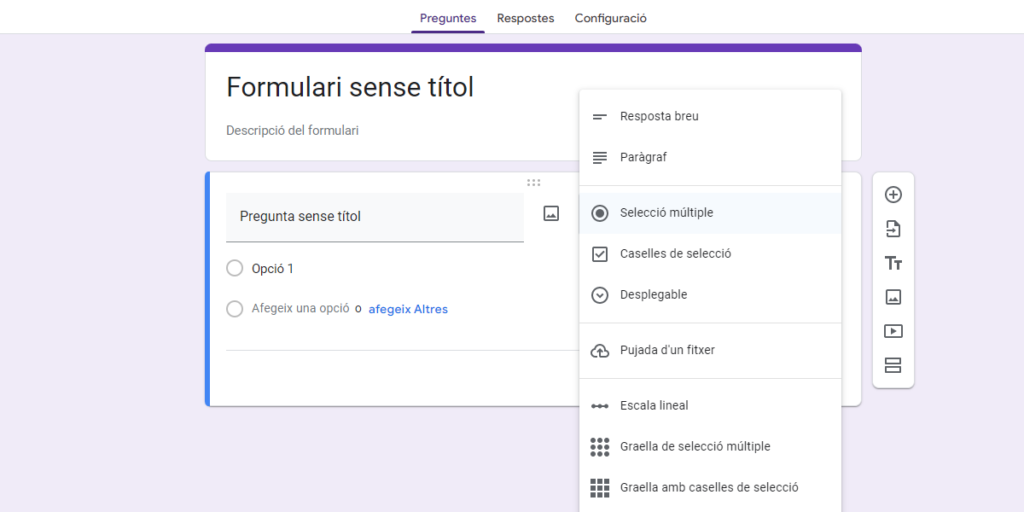 Tipus de preguntes possibles.