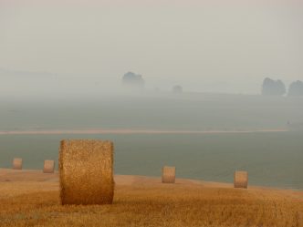 Hayfield and hay bales