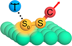 Theoretical Surface Science & Catalysis Logo