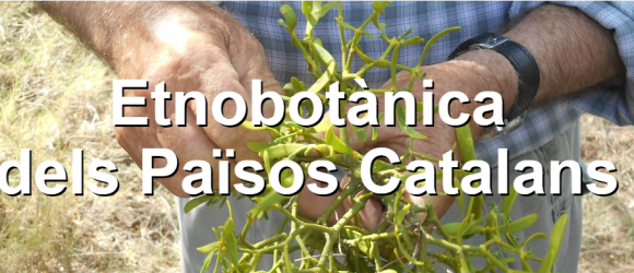 Etnobotànica dels Països Catalans